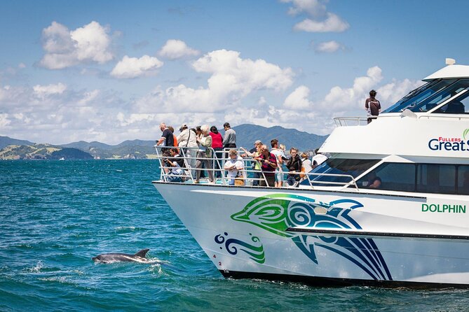 Private Yacht Cruise to Dolphin House with Lunch : Hurghada - Reaching Dolphin House by private yacht