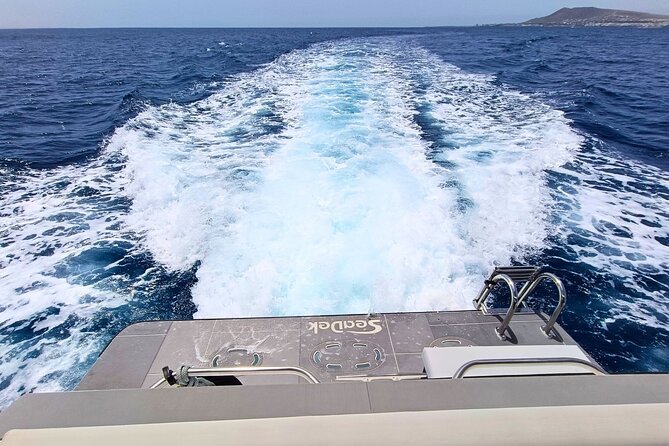 Private yacht in Papagayo Beaches with Gourmet or Premium menu - Leaving Puerto Deportivo Rubicón in Playa Blanca