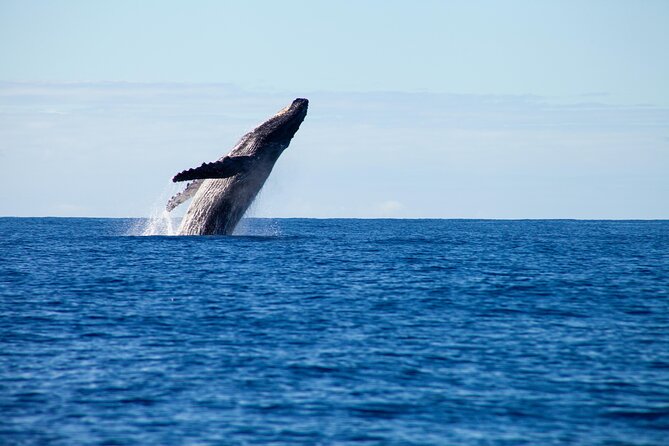 Private Yacht, Sightseeing, Snorkeling and Private beaches - Playa Las Gemelas, Punta Negra, and the Bungee stop