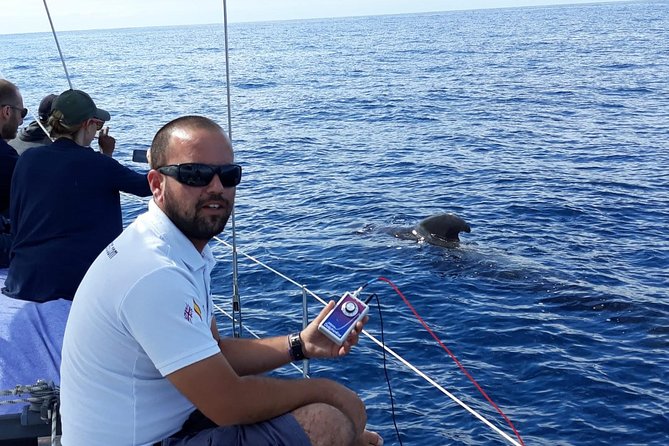 Private Yacht Tour With Whale and Dolphin Watching 33 Foot Boat - Snorkeling at Puertito Beach