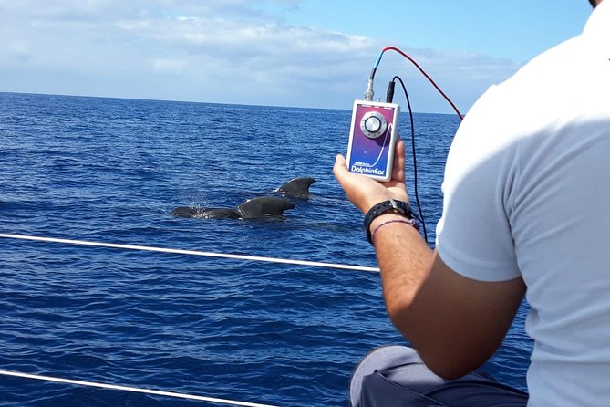 Private Yacht Tour With Whale and Dolphin Watching 33 Foot Boat - Practical details that can affect your day