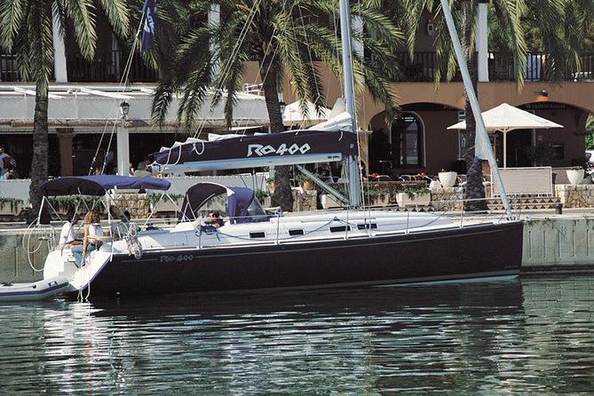 Private Yacht Tour With Whale and Dolphin Watching 42 Foot Boat - Watching pilot whales with sonar equipment