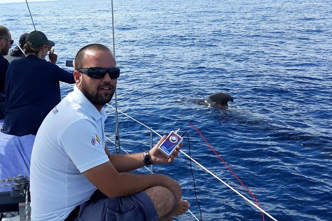 Private Yacht Tour With Whale and Dolphin Watching 42 Foot Boat - What the marina meeting involves