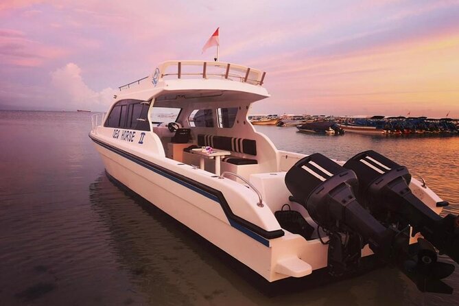 Private Yacht Trip Tour Bali - 8 Hours Day Trip Nusa Penida - SH2 - A private boat day from Tanjung Benoa