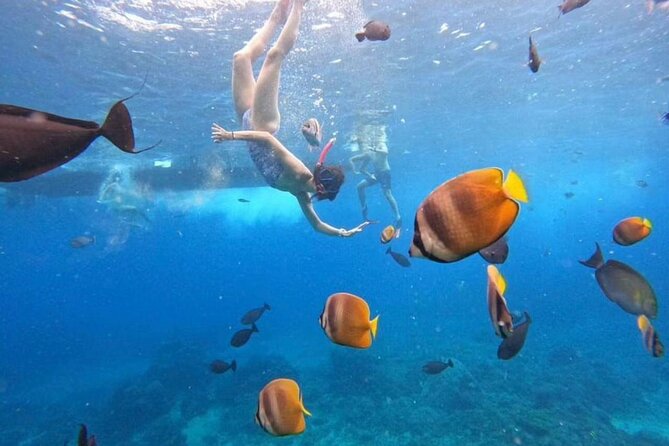 Private Yacht Trip Tour Bali - 8 Hours Day Trip Nusa Penida - SH2 - Afternoon snorkeling at Crystal Bay or Mangrove Point
