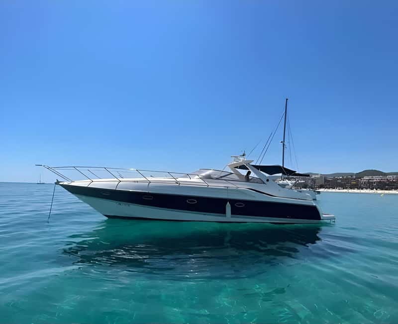 Puerto Banus: Private Luxury Yacht Charter - Thirty minutes searching for dolphins