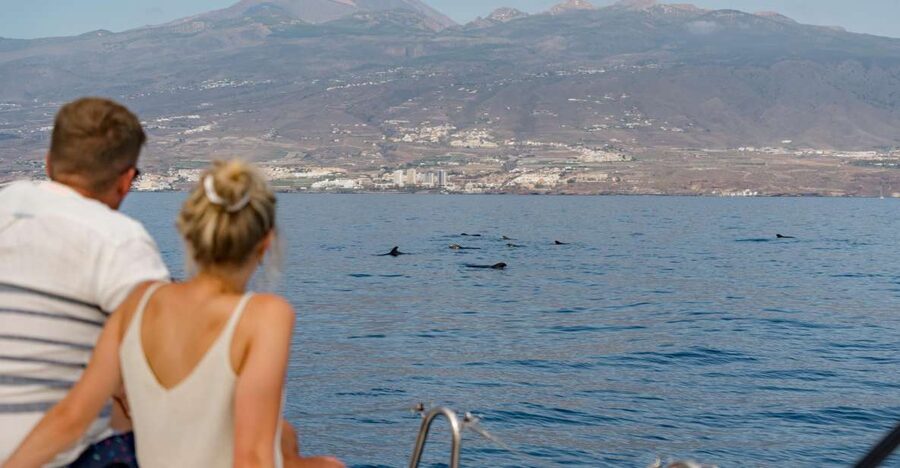 Puerto Colon: Whale and Dolphin Watching Yacht Trip - A secluded cove, snacks, and an Atlantic swim