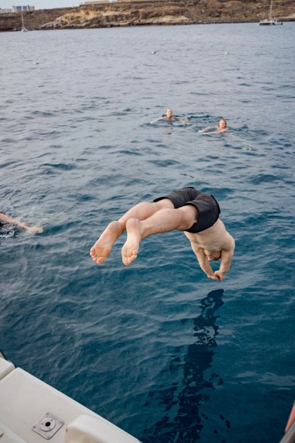 Puerto Colon: Whale and Dolphin Watching Yacht Trip - Who will enjoy this small yacht trip