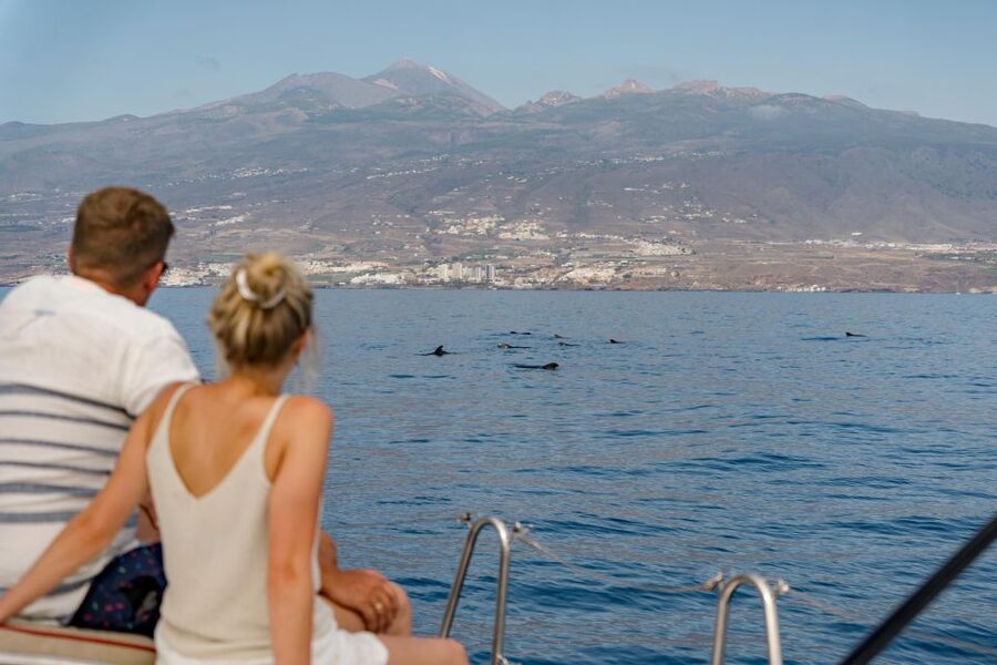 Puerto Colon: Whale and Dolphin Watching Yacht Trip - Practical booking tips for a smooth outing