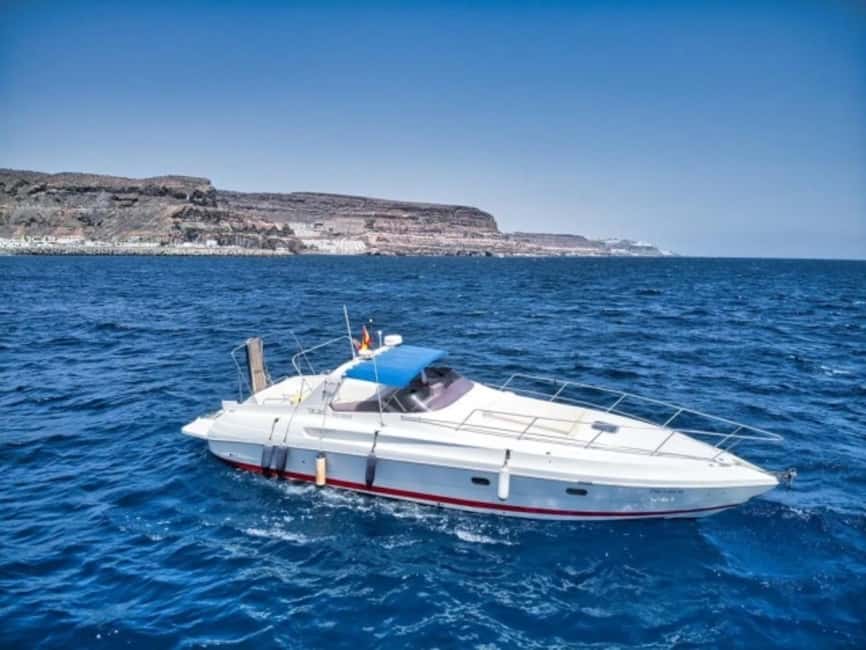 Puerto de Mogán: Private yacht for up to 9 people - Leaving from Puerto de Mogán’s fishing harbor