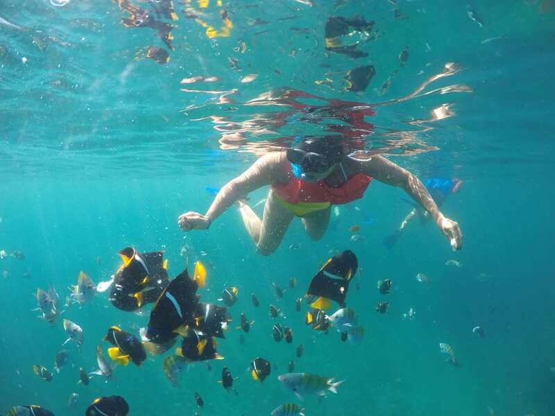 Puerto Vallarta: Luxury Yacht Tour with Lunch and Open Bar - What the yacht ride is really like