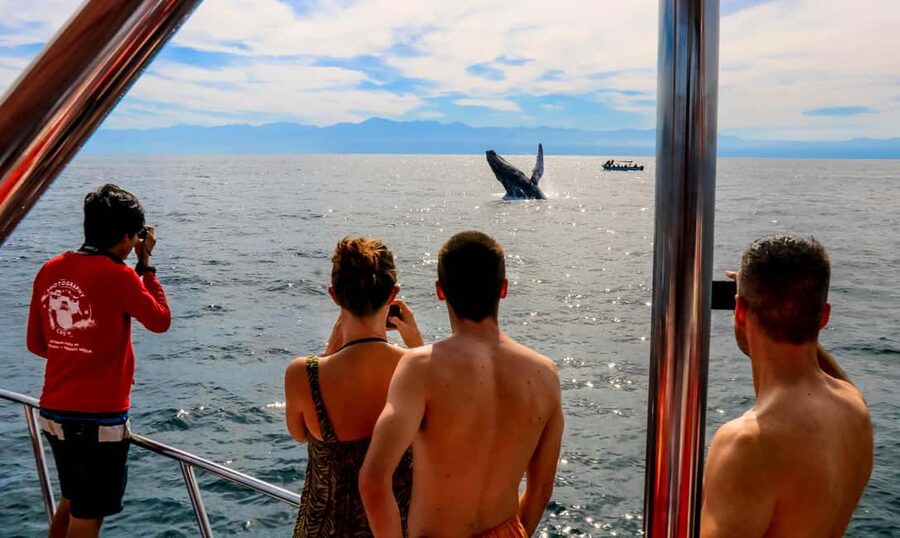 Puerto Vallarta: Mega Yacht Whale Watching Sunset Cruise - Why this cruise works so well at sunset
