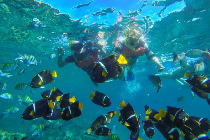 Puerto Vallarta: Private Yelapa Beach & Snorkel Tour on a Yacht - Majahuitas as the backup snorkeling stop