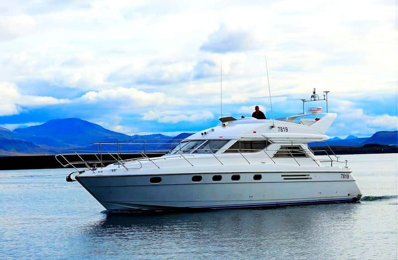 Puffin Watching Yacht Cruise from Downtown Reykjavík - Is $75 a fair price for one hour?