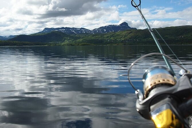 Pulpit Rock Boat Tour in Luxury Cruiser - Forsand or Lindøy for a change of pace