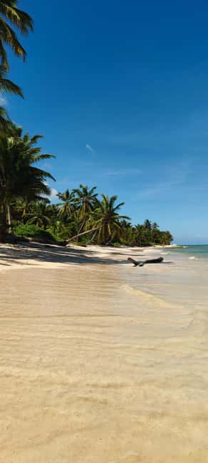 Punta Cana : Private yacht Snorkeling, Lagoon and Wild Beach - Meeting at Jellyfish Beach in Bávaro
