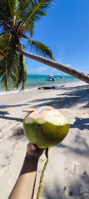 Punta Cana : Private yacht Snorkeling, Lagoon and Wild Beach - Who should book this Punta Cana yacht outing?