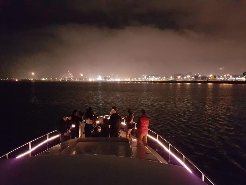 Reykjavík: New Year's Eve Northern Lights Yacht Cruise - Cold weather, sea motion, and who should skip it