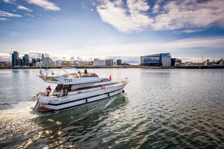 Reykjavik: Northern Lights Motor Yacht Cruise - Small details that make the night easier