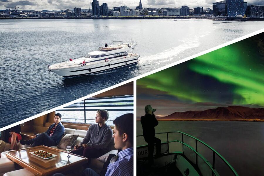 Reykjavik: Northern Lights Motor Yacht Cruise - Harpa, the Sun Voyager, and Höfði from the water