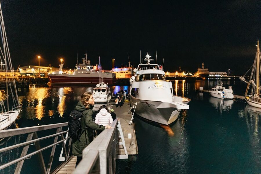 Reykjavik: Northern Lights Yacht Tour - Photography from a moving yacht