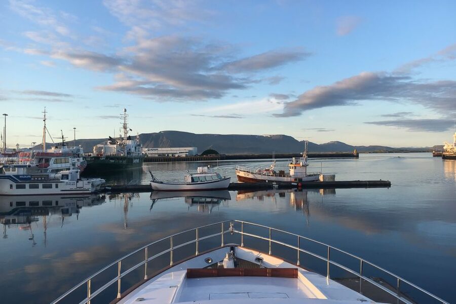 Reykjavik: Whale Watching and Dolphin Watching Yacht Cruise - The three-hour search for whales and dolphins