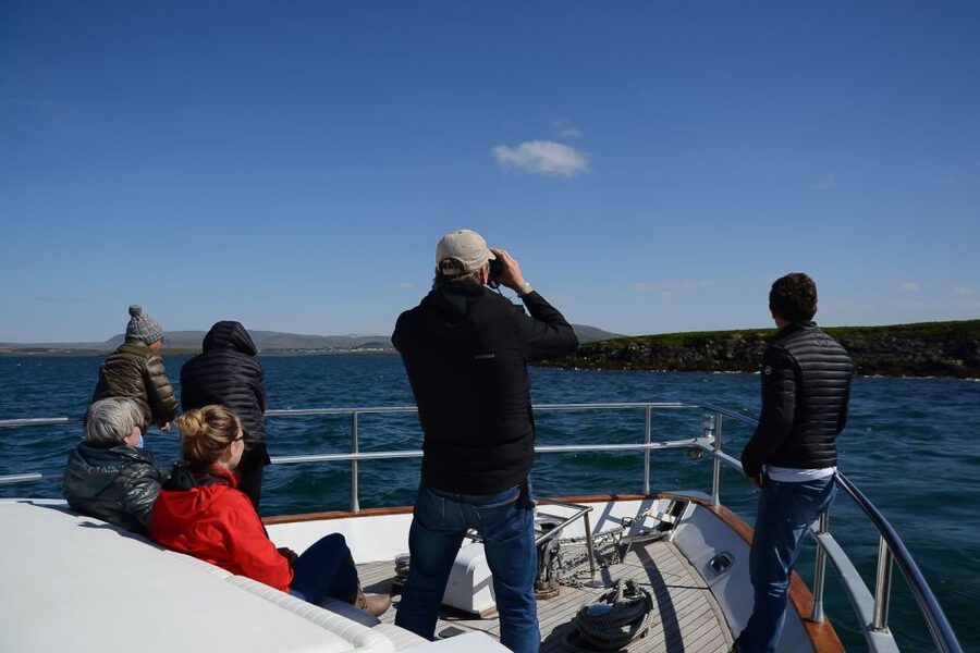 Reykjavik: Whale Watching and Dolphin Watching Yacht Cruise - Practical advice before you book