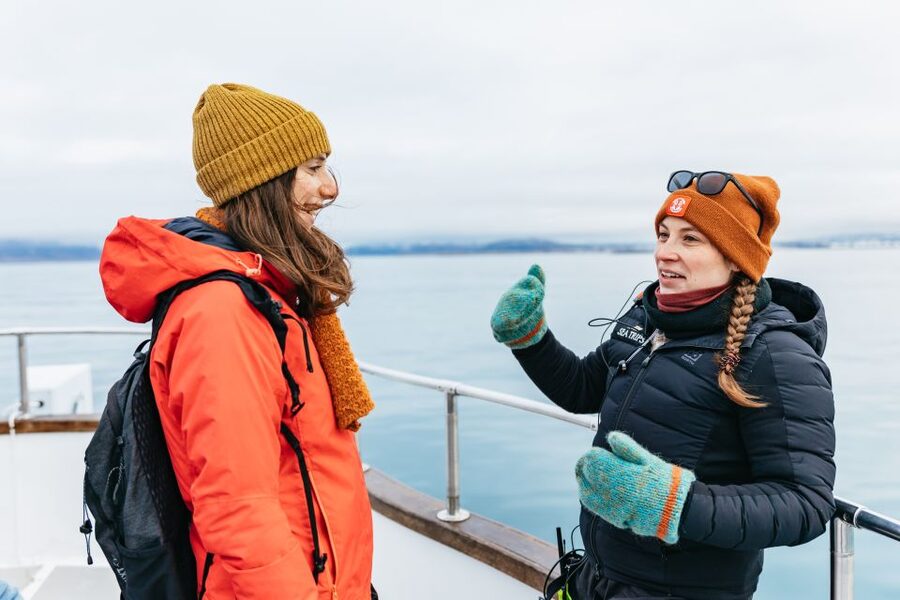 Reykjavík: Whale Watching Cruise on the Amelia Rose Yacht - Key points to know before you book