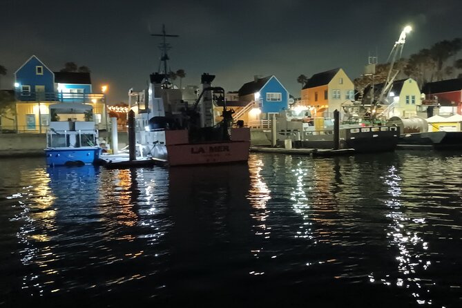 Romantic Luxury Boat Cruise with Wine Cheese Sea LionTours - Sea lions and marina wildlife