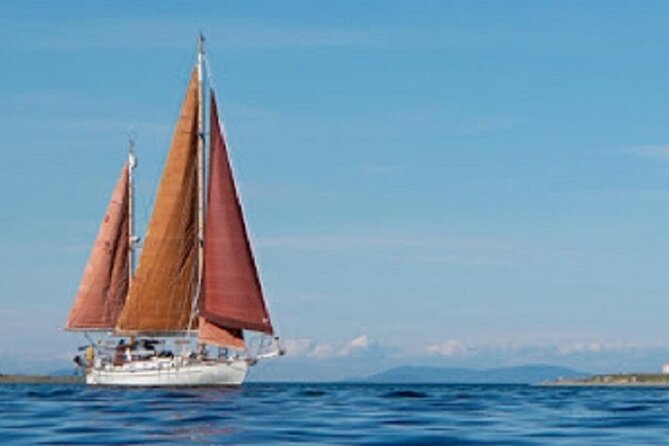 Sailing Charter - Wildlife and Wide Water Views