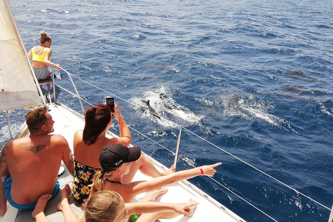 Sailing yacht half day- with Cape Verde Sailing - What the three-hour outing feels like
