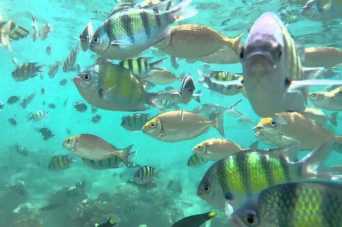 Samui Boat Charter, Private Speedboat Charter, Angthong National Marine Park - Cruising Along the Park’s Islands