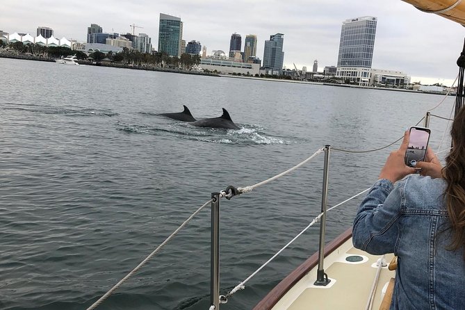 San Diego Bay Sail Aboard a Vintage Yacht Beer and Wine Included - Is $115 a fair price?