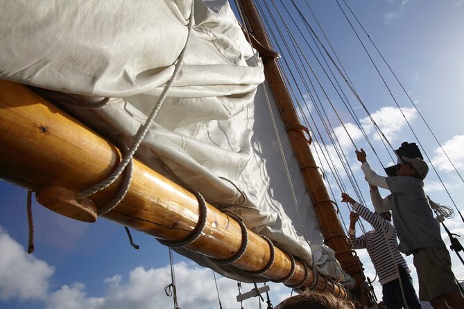 San Diego Sunset or Afternoon Sail on Classic Yacht - What you see from the water