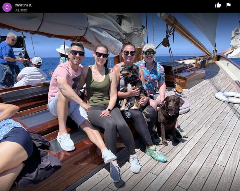 San Diego: Whale Watching Cruise on the Yacht America - Four hours on the Pacific, from check-in to return