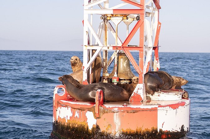 Santa Barbara Narrated Coastal Yacht Experience - How much value do you get for $45?
