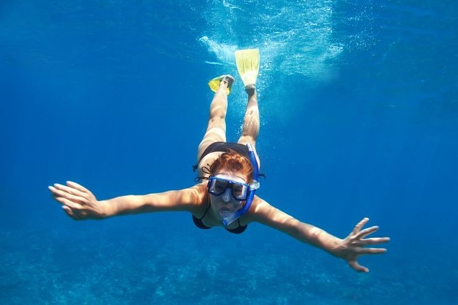 Santorini Luxury Catamaran Day Cruise with BBQ,drinks,transfer - Food, drinks, and the feel on board