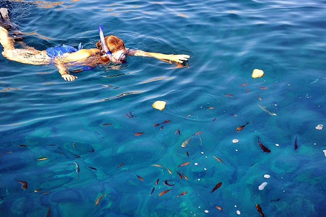 Santorini Luxury Catamaran Sunset Cruise with BBQ, Drink and Transfer - Food, drinks, and the real value of $157.28