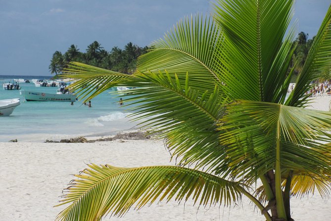 Saona Island small group and relax - luxury catamaran - Catuano reef: an easy first swim