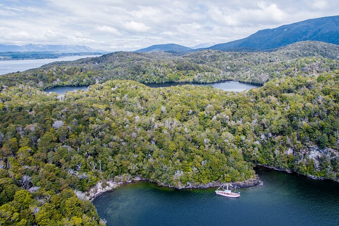 Scenic Cruise & Guided walk on Historic Motor Yacht Lake Te Anau - Tea, quiet water, and sailing back to Te Anau