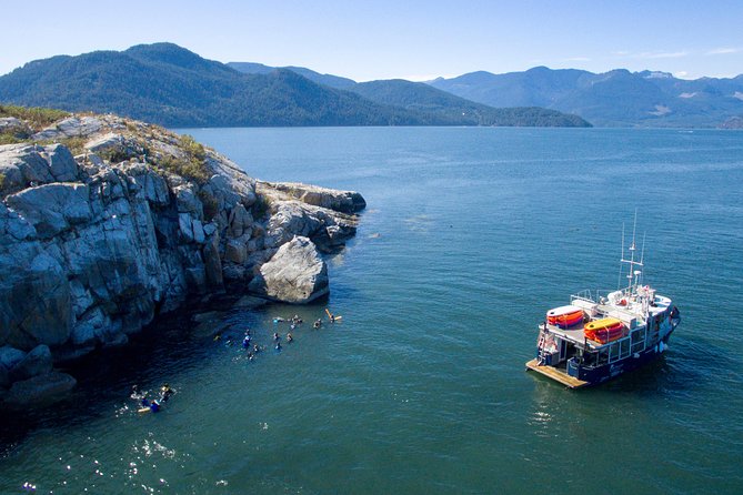 Scuba Dive Boat Charter in Vancouver (Certified Divers Only!) - From Horseshoe Bay to the Topsail