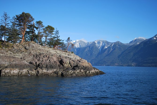Scuba Dive Boat Charter in Vancouver (Certified Divers Only!) - Two sessions, five hours, and a useful pace