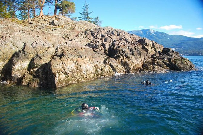 Scuba Dive Boat Charter in Vancouver (Certified Divers Only!) - Comfort, weather, and cancellation concerns