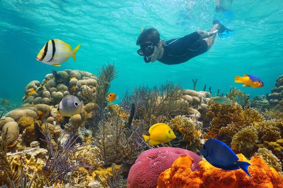 Sharm El Sheikh: Luxury boat Cruise with Snorkeling & Lunch - Key points to know before booking