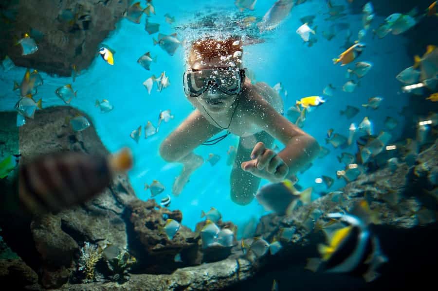 Sharm El Sheikh: Luxury boat Cruise with Snorkeling & Lunch - Lunch on board after the water activities