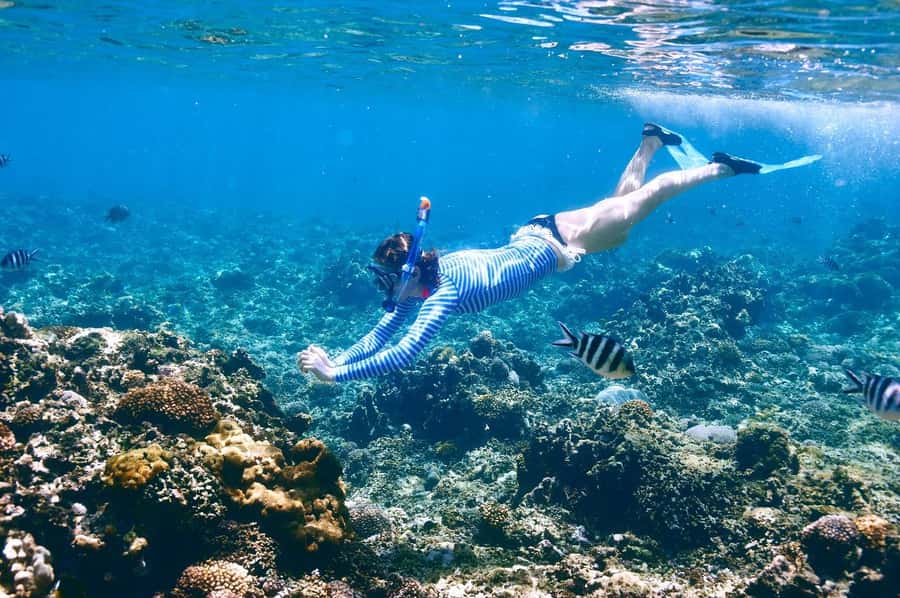 Sharm El Sheikh: Luxury boat Cruise with Snorkeling & Lunch - The second swim and return to Sharm