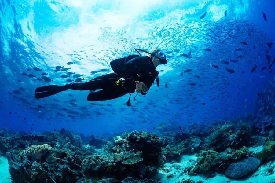 Sharm El Sheikh: Luxury boat Cruise with Snorkeling & Lunch - How much value do you get for $35?