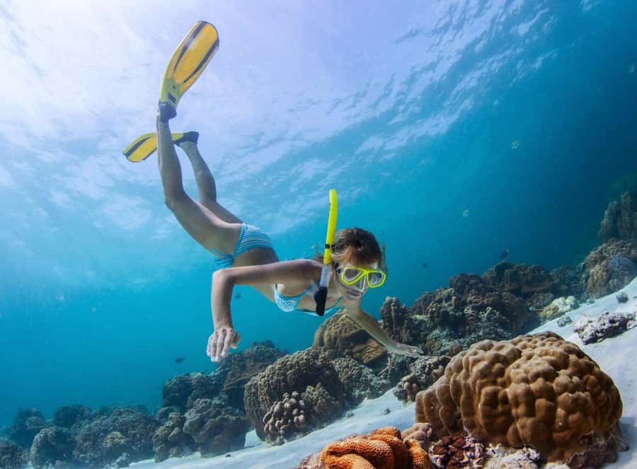 Sharm El Sheikh: Luxury boat Cruise with Snorkeling & Lunch - Should you book the Ras Muhammad cruise?