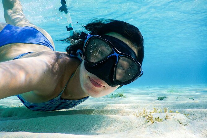 Small group tour by premium yacht to Elaphite Islands - Key points to know before you book