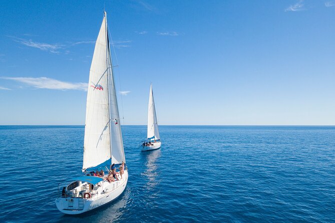Snorkel in Luxury Sailing Boat + Food and Premium drink! - The staff and the feel of the day